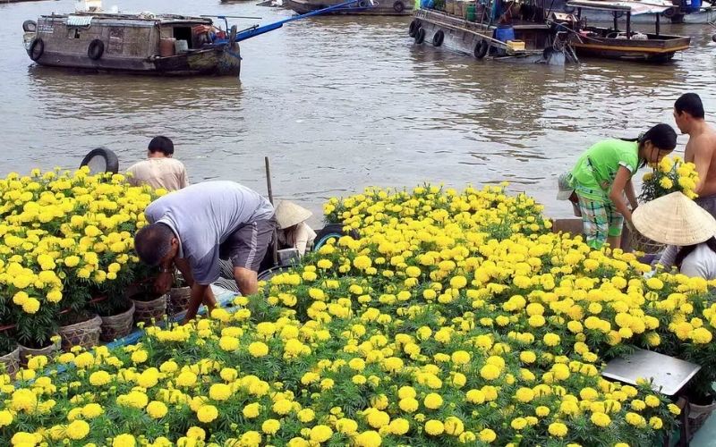 Delta del Mekong - l'esperienza dei mercati galleggianti