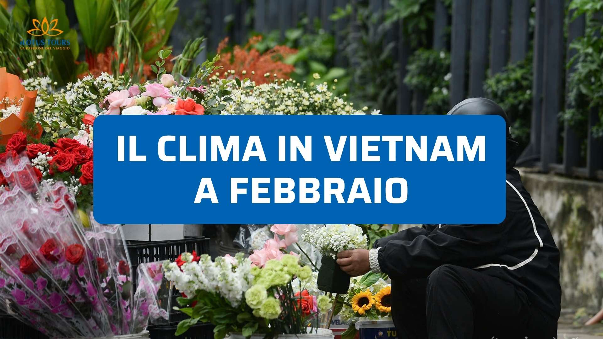 Clima in Vietnam a febbraio: cosa aspettarsi davvero dal meteo