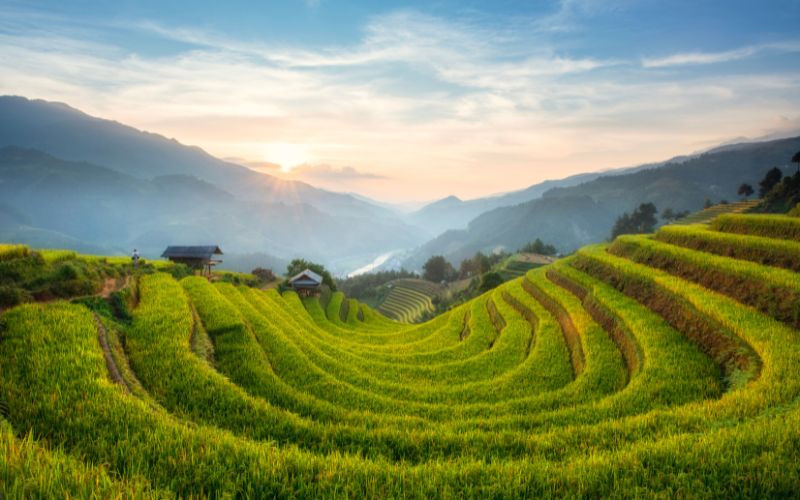 Mu Cang Chai