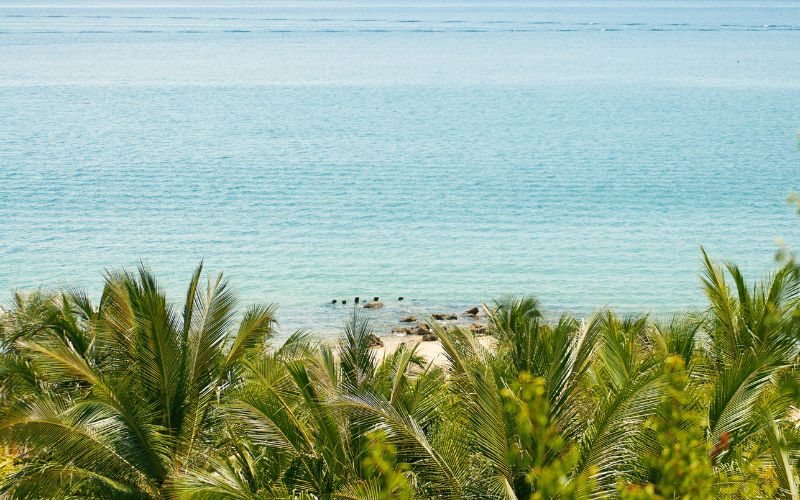 Il periodo migliore per visitare le Isole Cham