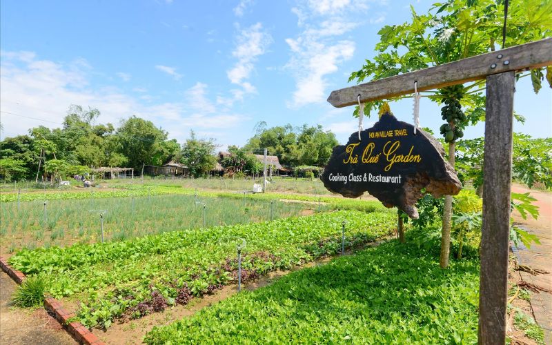Tr&agrave; Quế