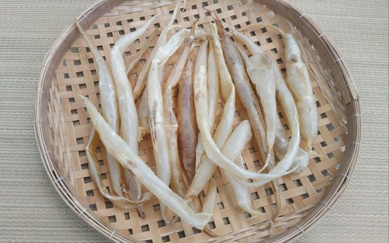Vescica Natatoria Essiccata