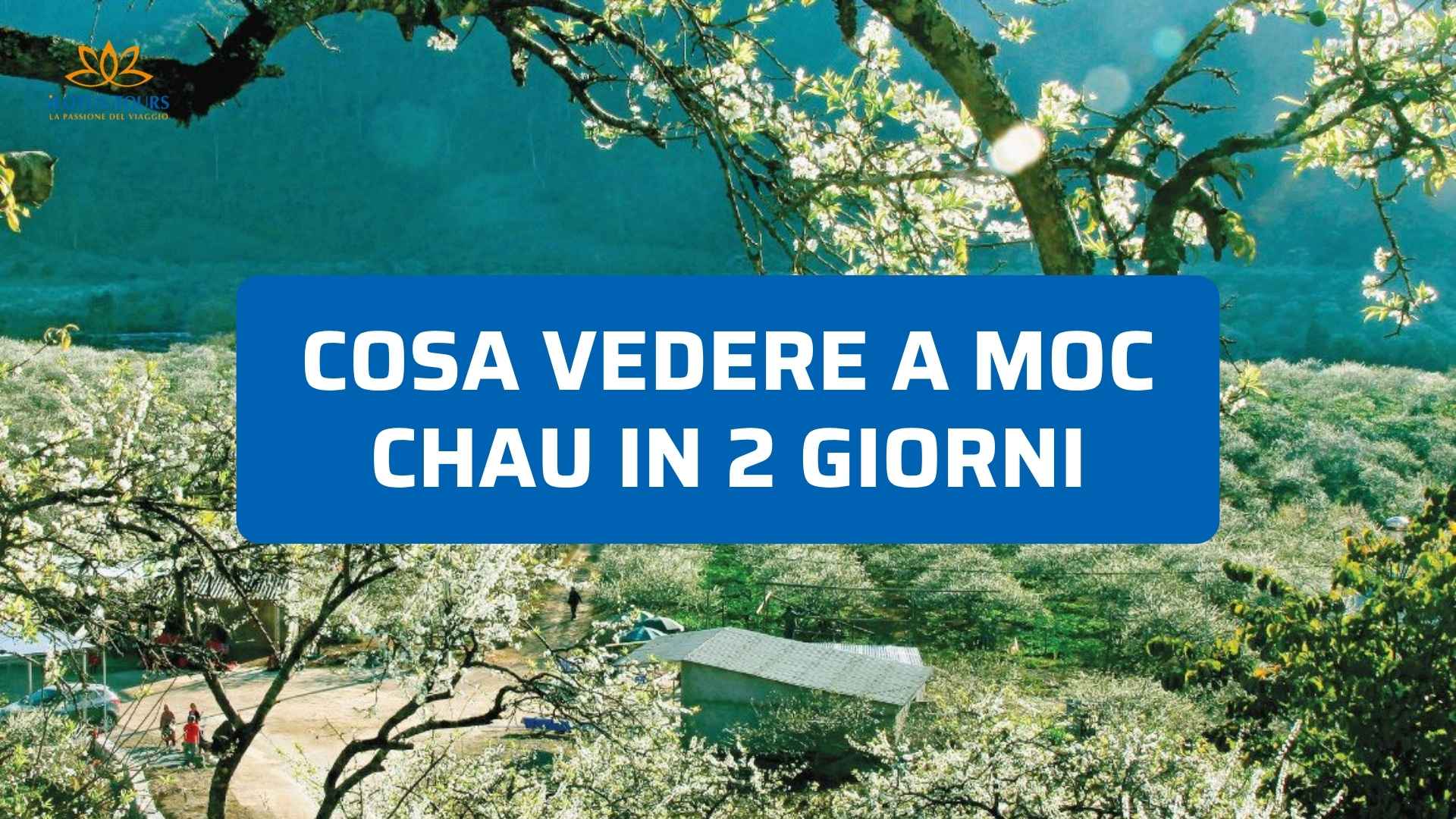 Cosa vedere a Moc Chau in 2 giorni: itinerario semplice
