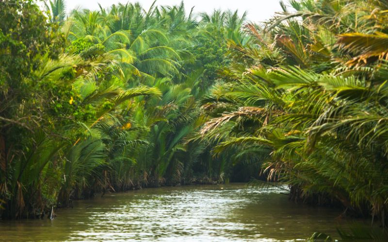 I canali di Ben Tre