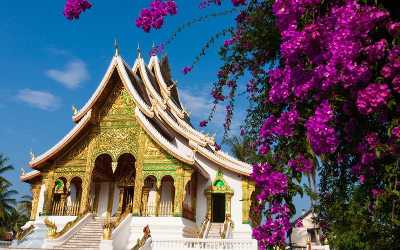 Il Museo del Palazzo Reale
