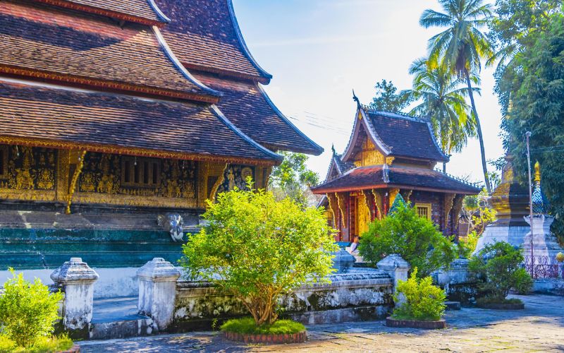I giardini del Tempio di Wat Xieng Thong