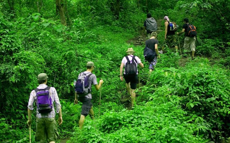 Trekking