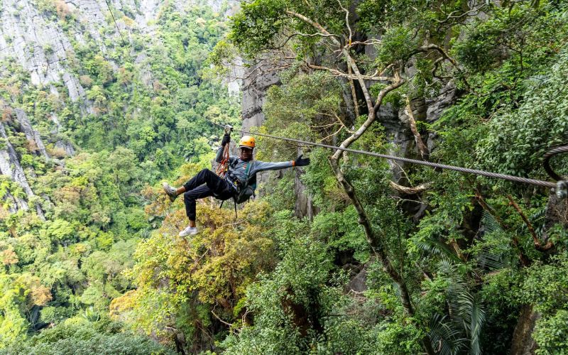 Zipline 