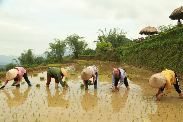 Découverte du Nord Vietnam autrement – 14 jours