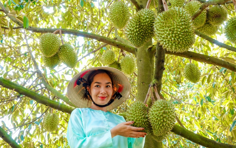 Fruits vietnamien Ben Tre