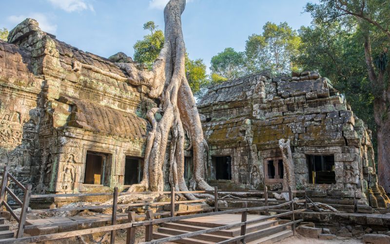 Ta Prohm