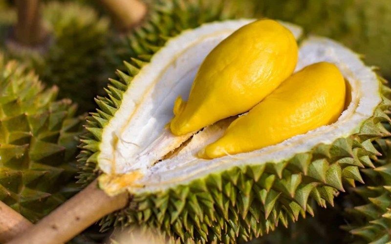 Durian