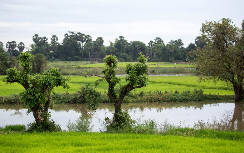 Voyage à Kampong Chhnang