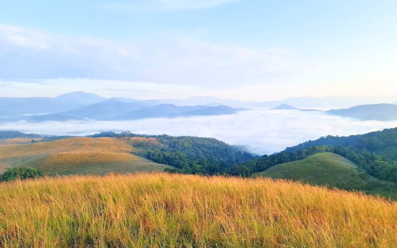 Parc national de Virachey : trekking dans la jungle cambodgienne