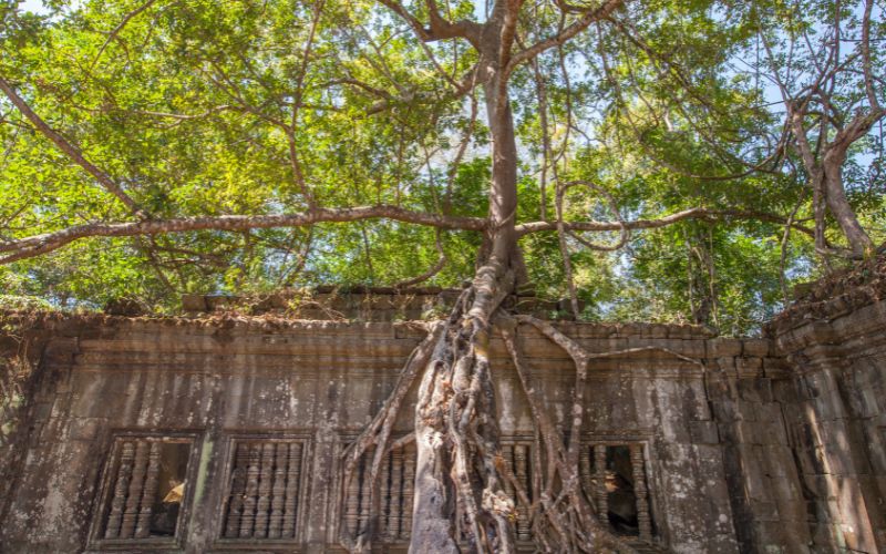 Temple de Beng Mealea : découvrir un Angkor préservé au cœur de la jungle