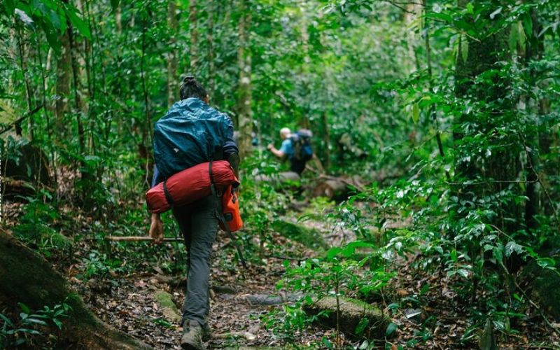 Trekking au Cambodge : guide complet pour une aventure au cœur de la nature