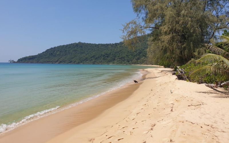 Lazy Beach
