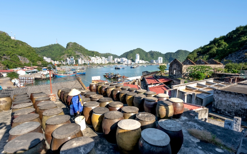 Voyage à Cat Ba
