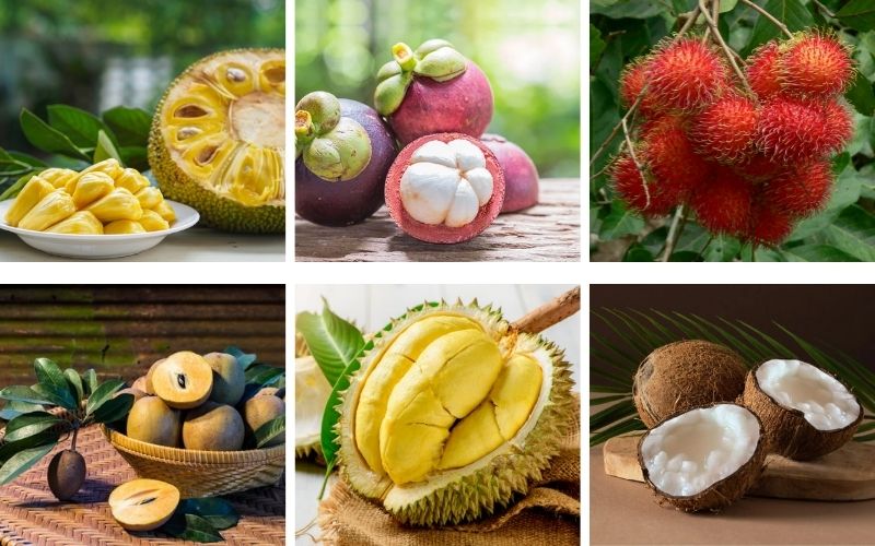 Fruits tropicaux du Vietnam : lesquels goûter et comment les choisir ?