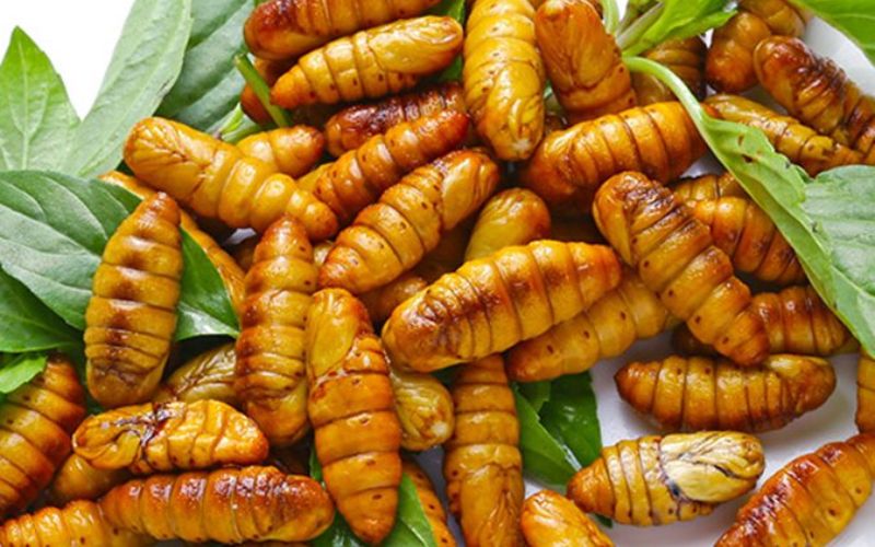 Nhộng tằm - chrysalides de vers &agrave; soie