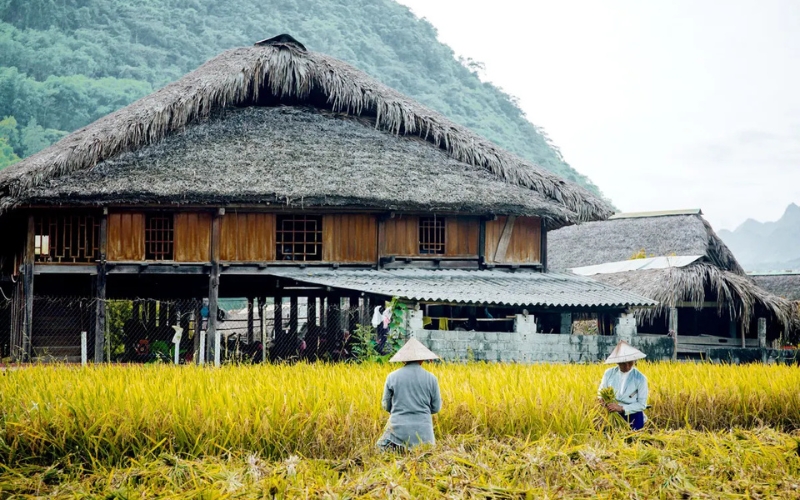 Ethnie Tay au Vietnam