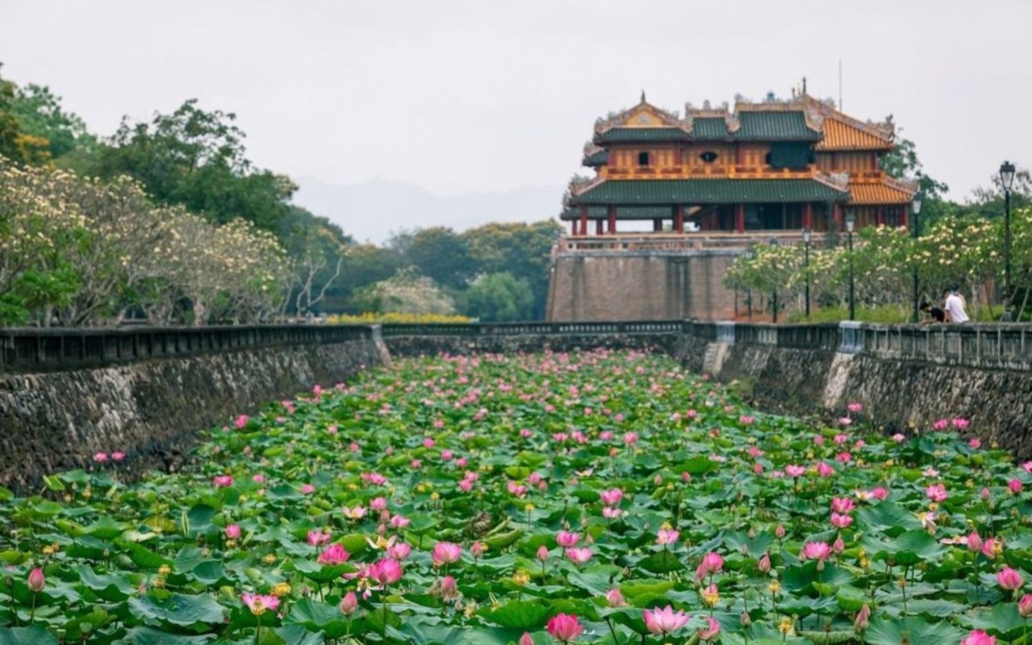 Lac Tịnh T&acirc;m