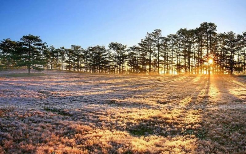 Meilleure p&eacute;riode pour visiter Dalat