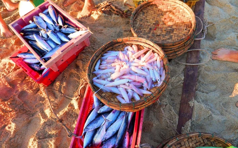 Voyage à Da Nang