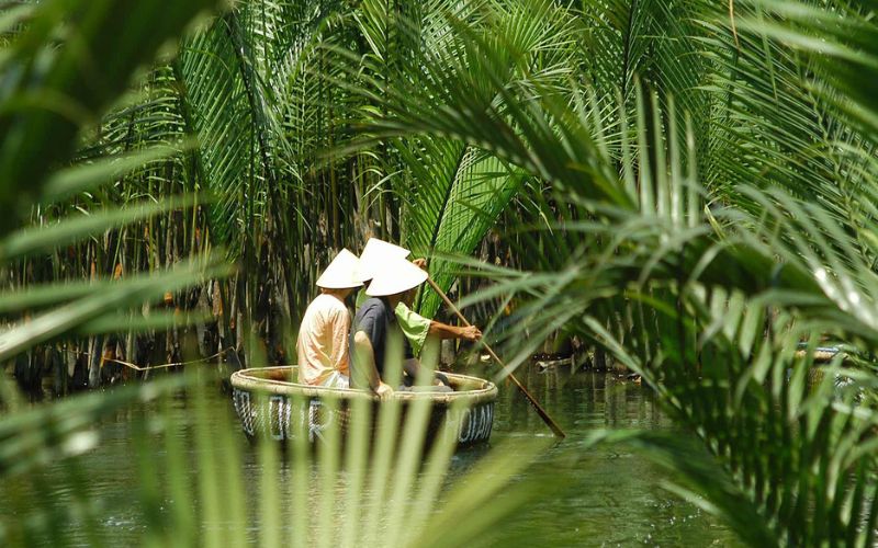 F&ocirc;r&ecirc;t de cocotiers de Bay Mau