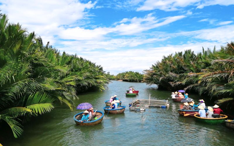 F&ocirc;r&ecirc;t de cocotiers de Bay Mau