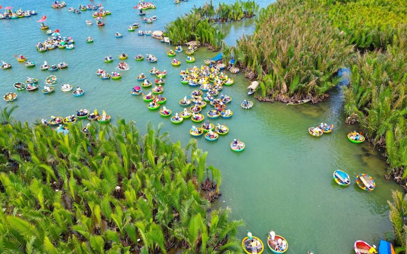 F&ocirc;r&ecirc;t de cocotiers de Bay Mau