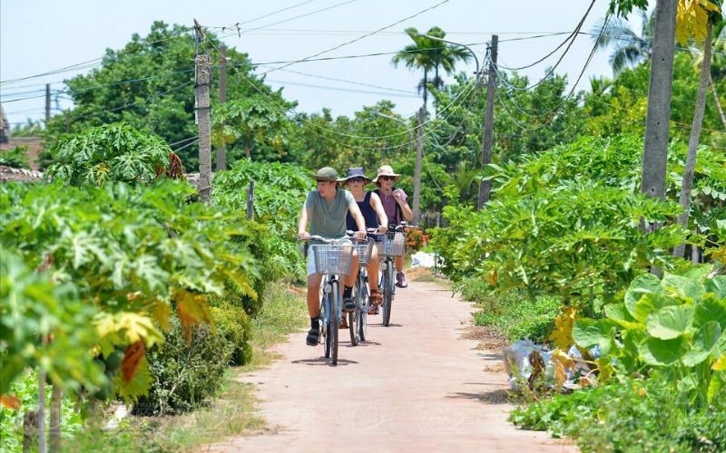 balade &agrave; v&eacute;lo