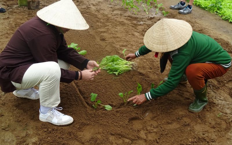 activit&eacute; agricole 