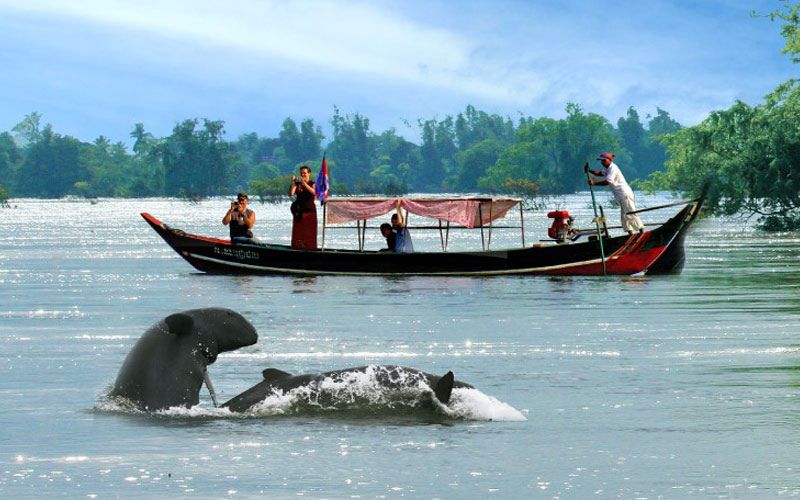 Voyage à Kratie : à la découverte du Cambodge paisible au bord du Mékong
