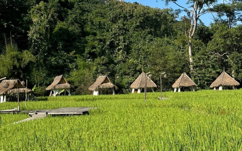 Cascades de Kuang Si