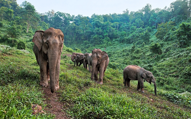 Voyage en famille au Laos