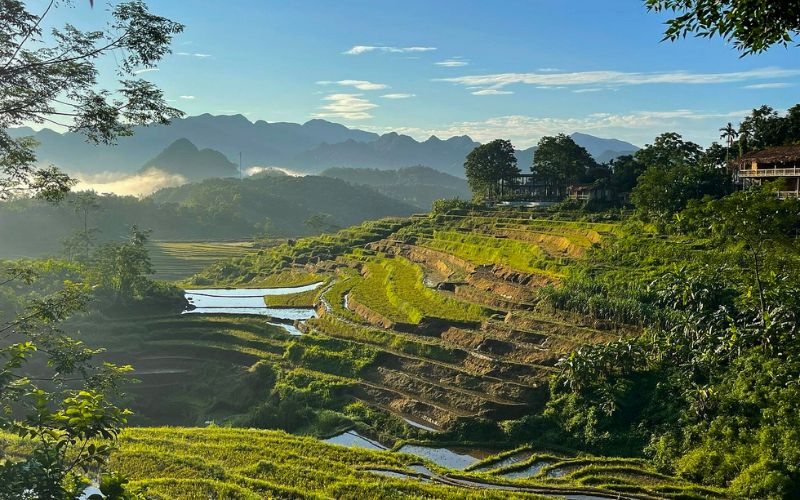 Circuit Mai Chau - Pu Luong : guide complet pour un séjour nature