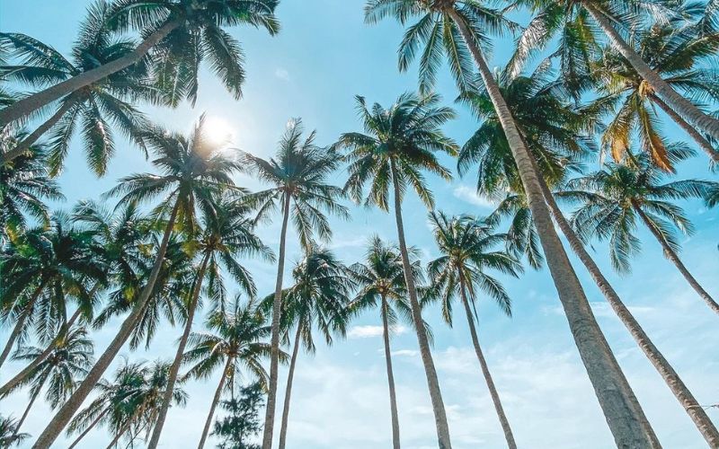 Quand partir &agrave; Mui Ne ?