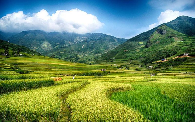 Guide pratique pour visiter Nghia Lo, entre rizières et culture Thai