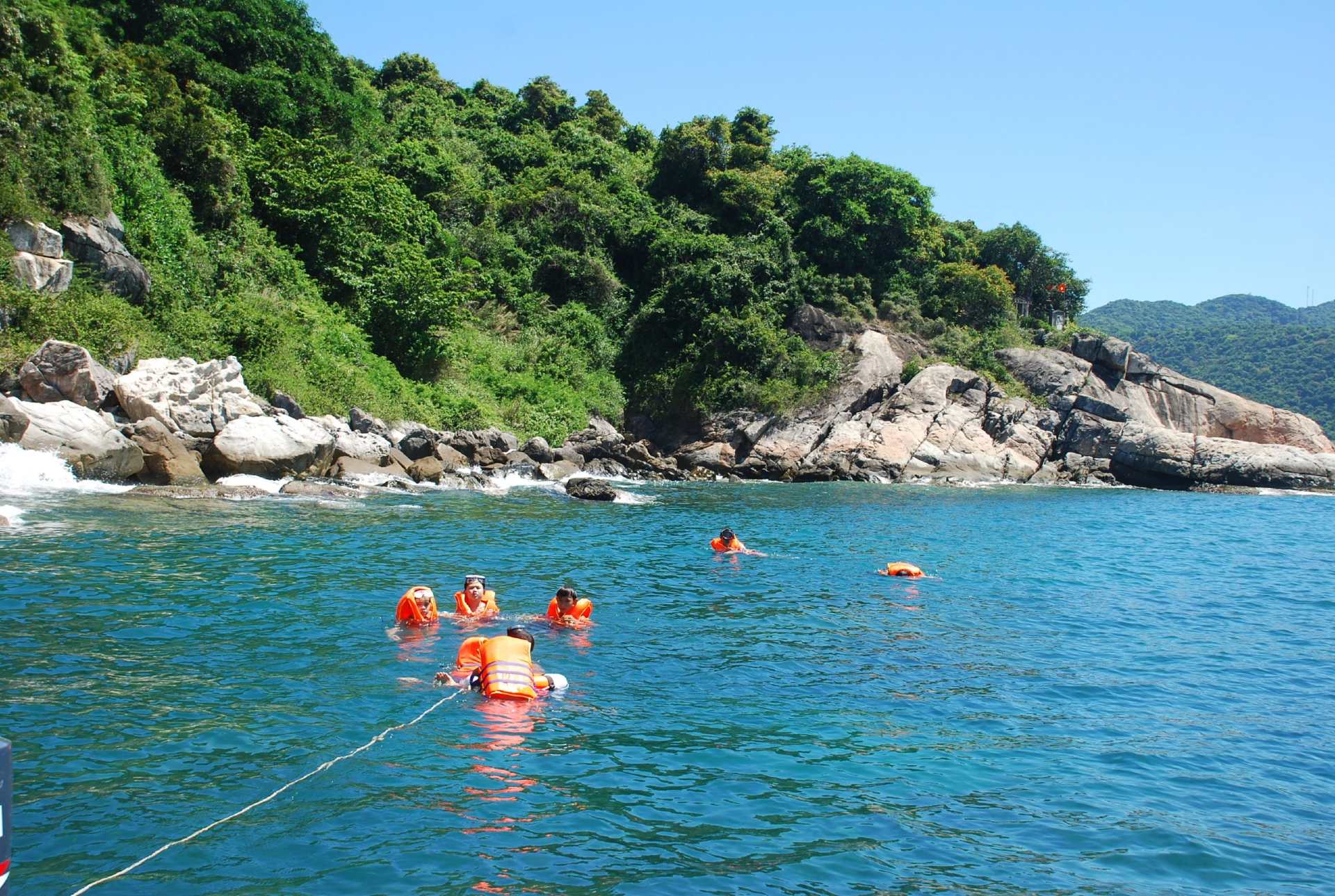 Plonger sous-marine pour observer les coraux