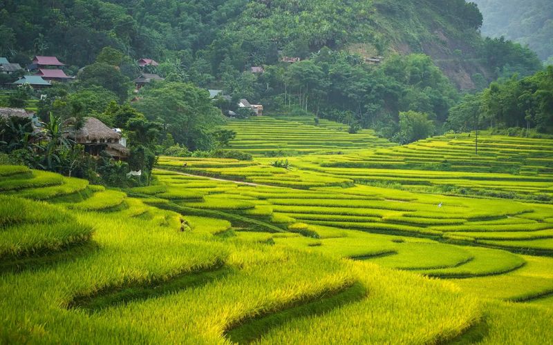 Pu Luong en 2026 : Guide complet des rizières secrètes du Vietnam