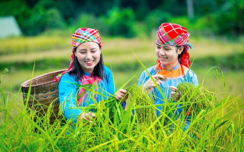 Ethnies minoritaires à Sapa
