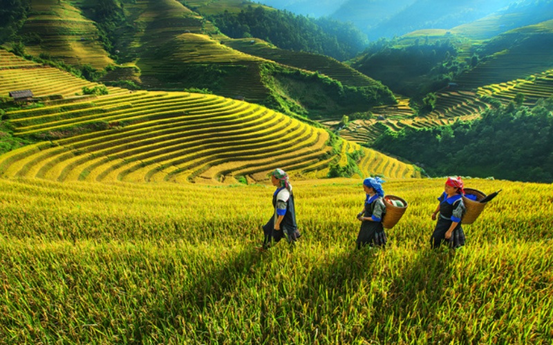 Voyage au Vietnam