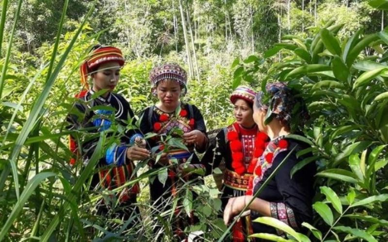 Bain aux herbes Dao Rouge Sapa