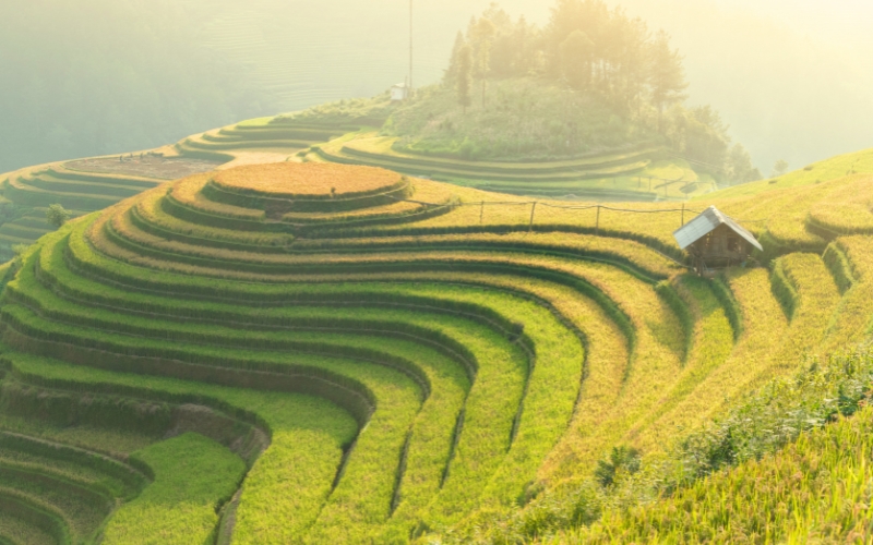 Voyage au Vietnam