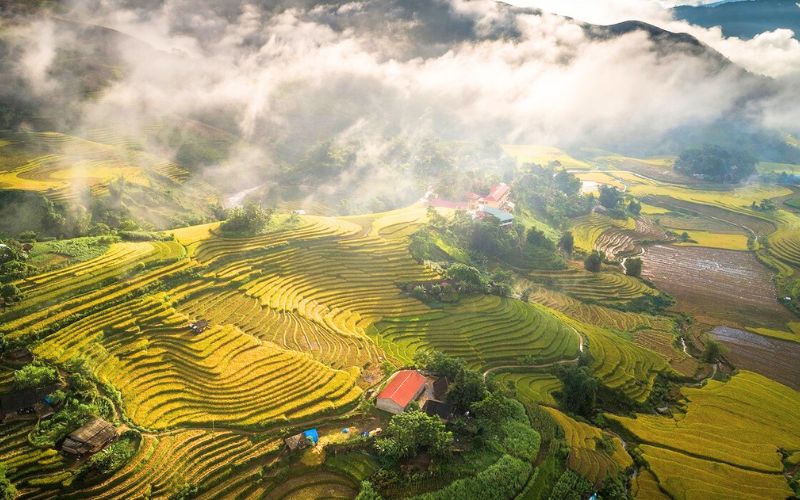 Quand partir à Sapa ? Climat, rizières et saisons idéales