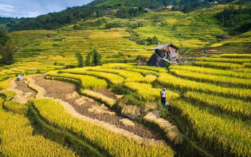 Quand partir &agrave; Sapa ?