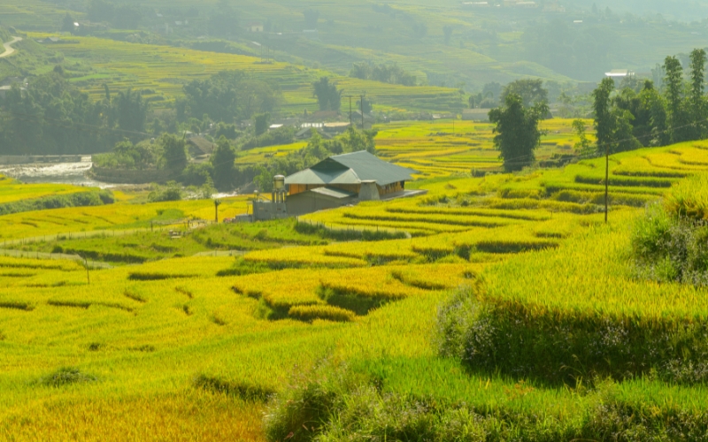 Nord-Ouest du Vietnam