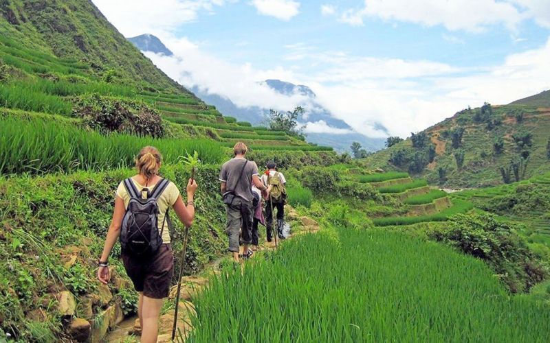 Trekking à Sapa au Vietnam : itinéraires, villages et rizières en terrasses