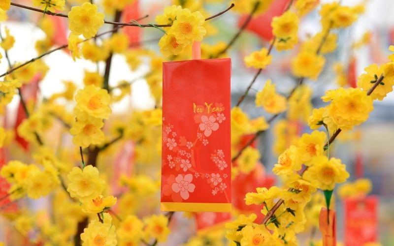 L&igrave; X&igrave; au Vietnam